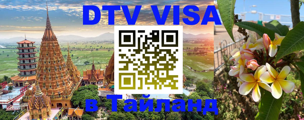 Сколько стоит DTV виза — актуальные цены, оформление даже без документов - Тбилиси 